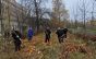 День благоустройства в Учебном городке №4  и подшефном детском саду №2 поселка Стрельна