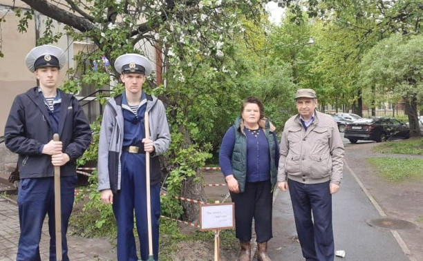 Курсанты привели в порядок яблоню мариниста Валентина Пикуля